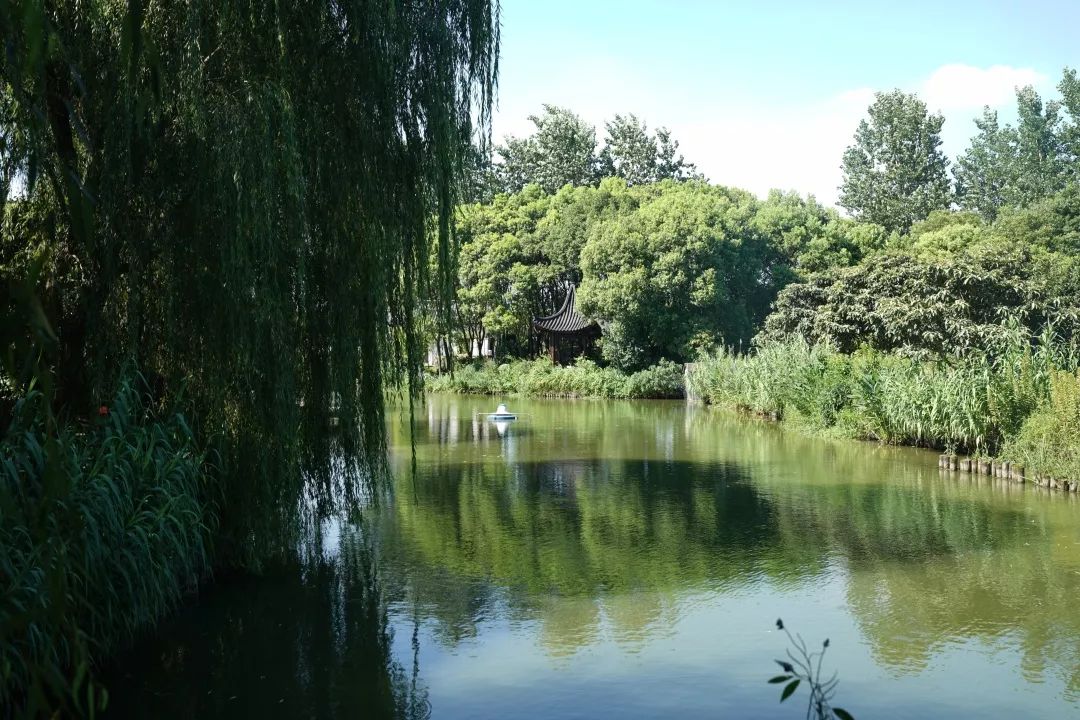 水清树绿，白墙黛瓦，好一幅江南水景画